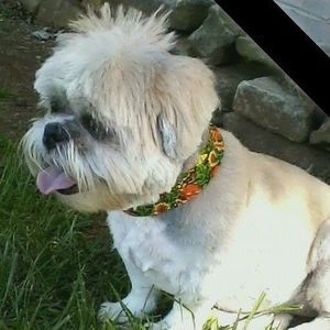 Meet your Posher, Loretta